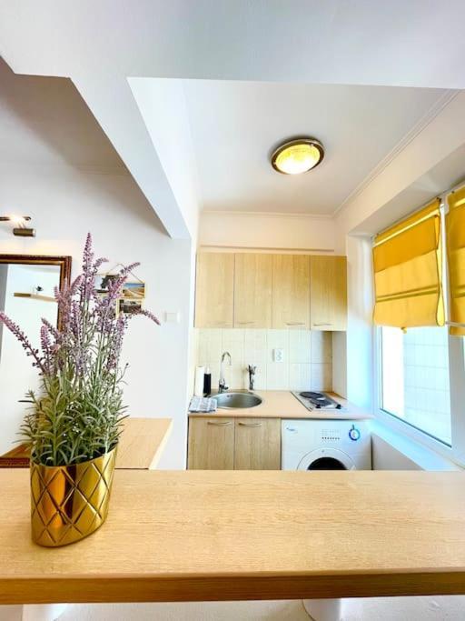 Boutique Apartment In The Bucharest City Center Ngoại thất bức ảnh